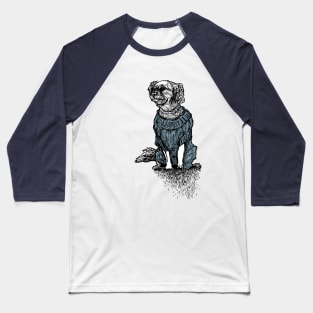 Dog Sweater Collection Teal Baseball T-Shirt